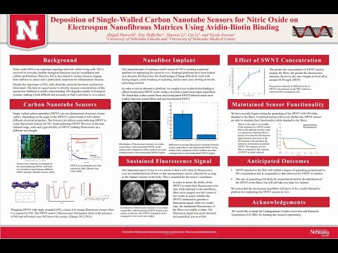 Abigail Haworth EHIRS Poster Presentation