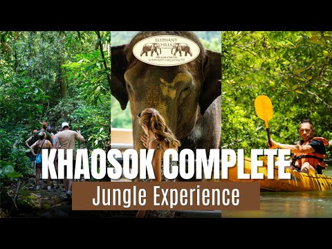 Khaosok Complete Jungle Experience | Elephant Hills Thailand