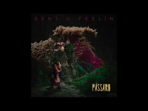 Sent U Feelin'- Pássaro