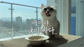 애미야 국이짜다..