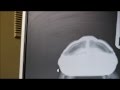 Behind Scenes X Ray Tortoise Village Vets Centre Liverpool For Youtube