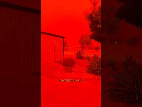 اللي صار خلال آخر يومين شيء بيفوق الخيال 😳😱