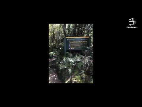 🌹🌹🌹If you truly love nature, you will find beauty everywhere....🌹🌱🌿 -Laura Ingalls Wilder-