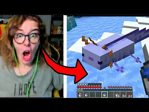 Kennoia trova l'axolotl blu super raro 😱