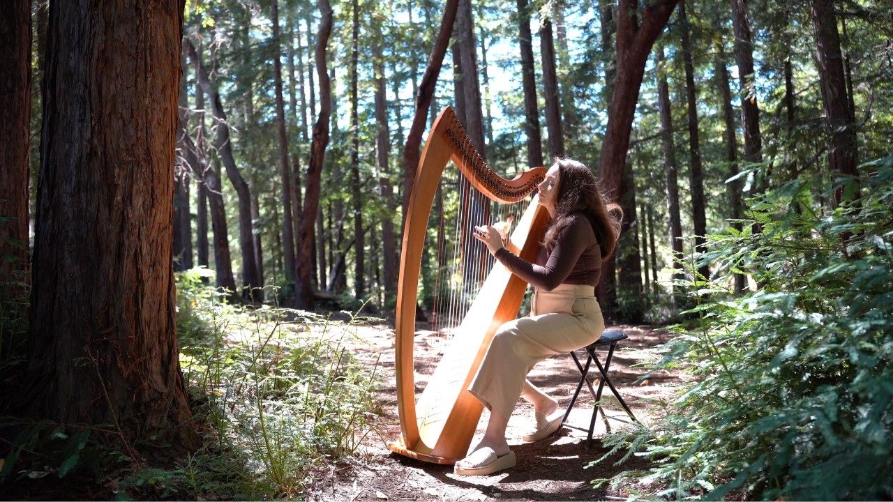 1 Hour of Relaxing Harp Music I Sarah Bhalla