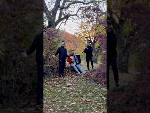 Najubavata #musictrends #viralvideo #folk