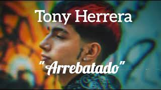 Tony Herrera - Arrebatado (letra)