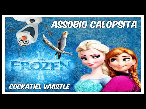 ASSOBIO CALOPSITA - FROZEN LET IT GO #1 - COCKATIEL WHISTLE