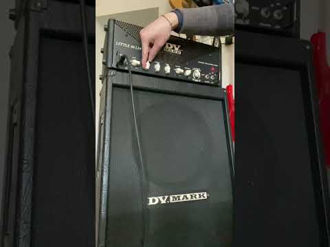 Dv Mark Little 40 L34 tube image 6