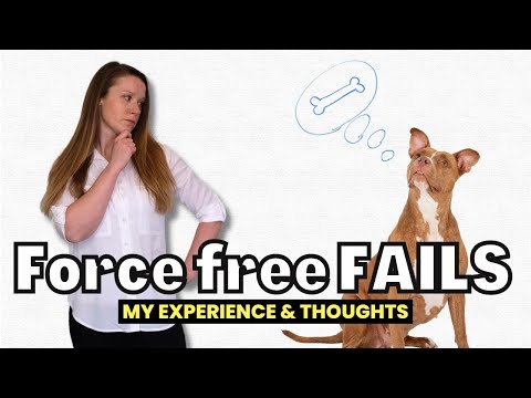 ¿Por qué el adiestramiento gratuito de perros no funciona?