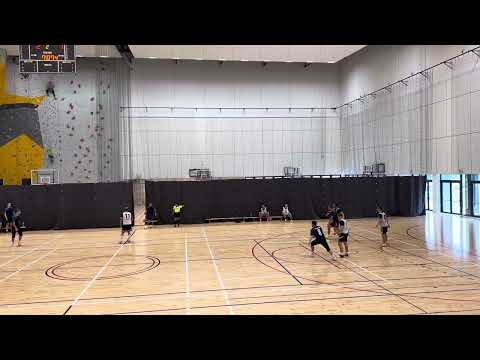 Emerlog - Billennium II