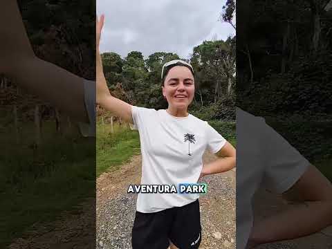 Trote Veterinario Runner Oscar Álvarez por Gachantivá
