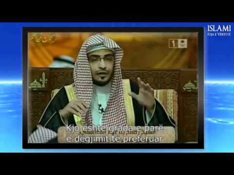 Pozita më e lartë e dëgjimit  -  Sh. Megamsi