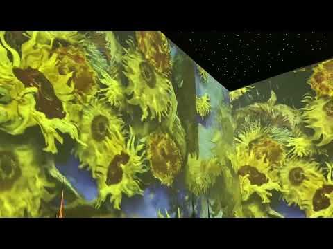 Van Gogh London Exhibit: The Immersive Experience