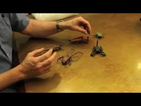 Origami Scorpion Robert lang