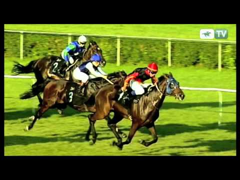 11.09.2011 (D40;G9; tor: 2,9; 23°C)