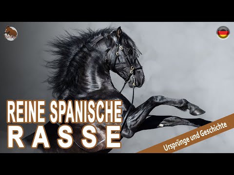 , title : 'REINE SPANISCHE RASSE PFERD, Pferde, die auf der ganzen Welt bekannt sind, URSPRUNG DER RASSEN'
