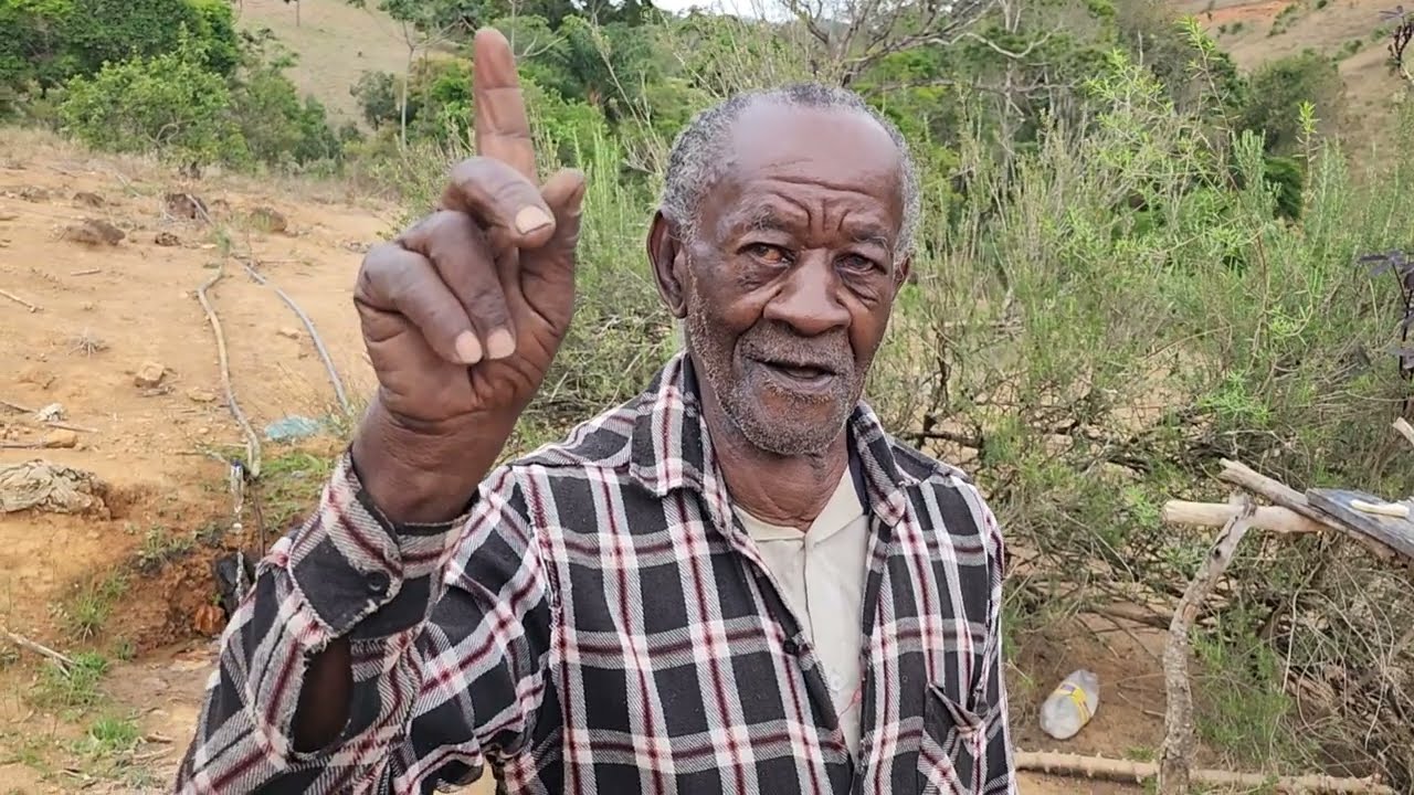 Ele Vive Sozinho No Meio Do Mato Faz 86 Anos