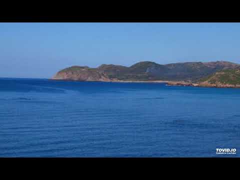 ودعناك عدي بالسلامه