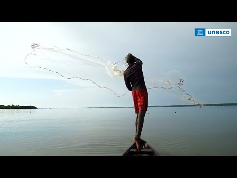 World Oceans Day: How Marine World Heritage builds resilience for people and nature