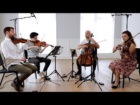 DOVER QUARTET - Dvorak: "American": 4. Finale