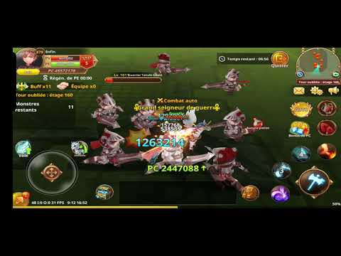 Flyff - the famous 161 Tower lvl