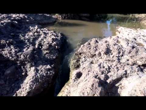 Una tarde en charcocharcal