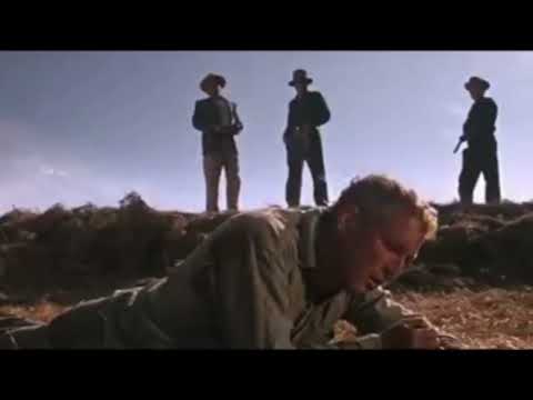 Cool Hand Luke (1967) - What we've got here is failure to communicate - Strother Martin, Paul Newman