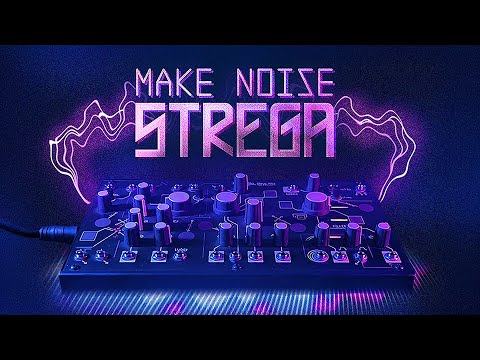 Make Noise Strega Module image 10