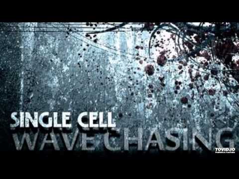 Single Cell - Wavechasing (Original Mix) [Scope Recordings]