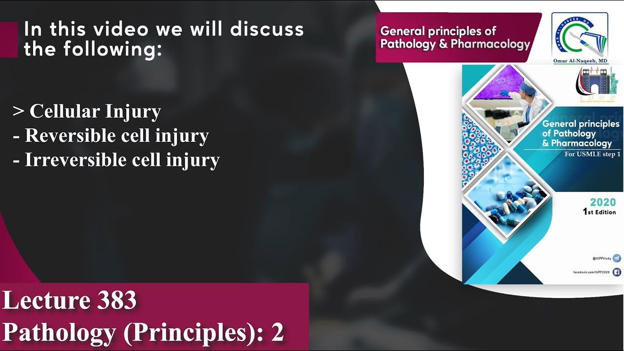 Cellular Injury