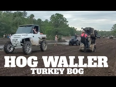 HOG WALLER 2020 (TURKEY BOG)