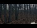 XXX School Higgins Lake MI 48627