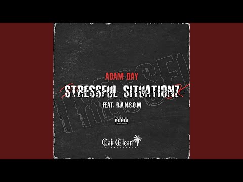 Stressful Situationz (feat. R.A.N.S.O.M)