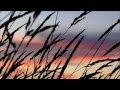 Pink Floyd - Fat Old Sun 