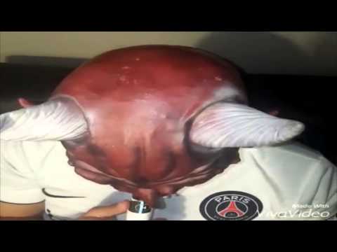 Hooky Classique & Royal