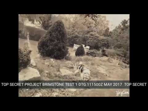 Rörelseaktiverad vattenspridare - kattskrämma