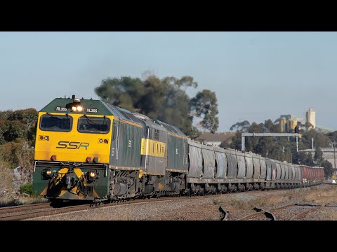 Cross Country Australian Grain Train! (SSR's 7KV1 ex-Murtoa) | RL305, GM27, RL301