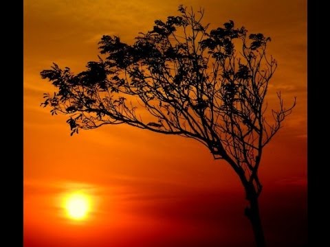 download lagu mp3 mp4 Value Of Photography, download lagu Value Of Photography gratis, unduh video klip Value Of Photography