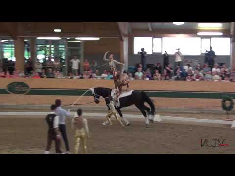 Team NORKA Koeln-Duennwald (GER), CVIO Ebreichsdorf 2019