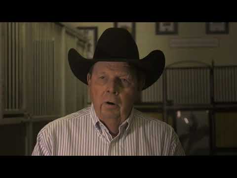 Brother Jackson - Champion Sire