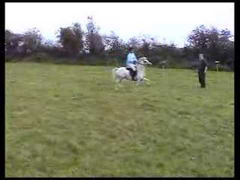 Millstreet LTV2 - Episode 85 (4)