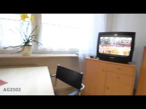 NU-2102 - Gemütlich möblierte 1-Zimmer Wohnung in der Nürnberger Innenstadt