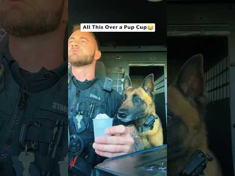 Officer Can't Catch a Break From His K9 😍🤣 (@officer_coats)