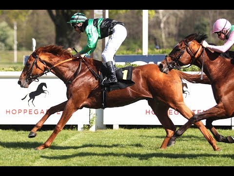 Berlin: Altano-Rennen 2019 (L) - Sieger: Ernesto