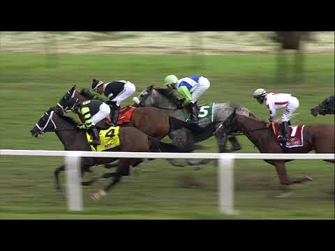 2019 Sal DeBunda Pres  Cup, Dynatail