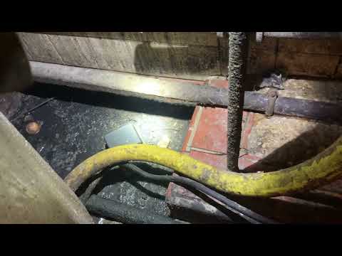 Found Some Mice in the Boiler Room in Pennington, NJ