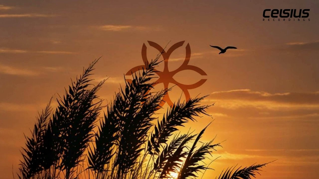 Lucidity - Way I Feel