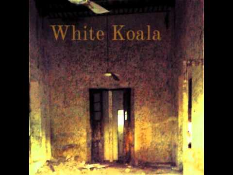 White Koala - The Window Light
