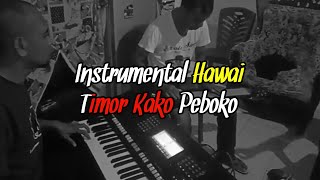 Download lagu Instrumen Untuk Tidur  (Paul Sila )Hawaian Gitar PebokoCover mp3